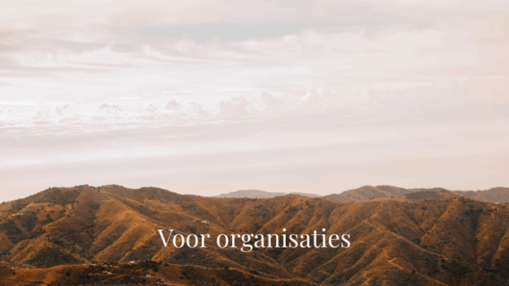 Zonder titel (1500 x 1080 px)-2